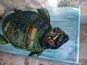 turtle chest1